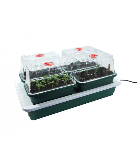 Beheiztes Tablett 38,5cm x 24cm x 15,5cm 230V + 4 Glasscheiben - 1