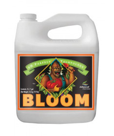 Bloom 10l pH Perfect Advanced Nutrients