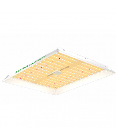 Mars Hydro TS 1000 150W Led-Lampe - 5