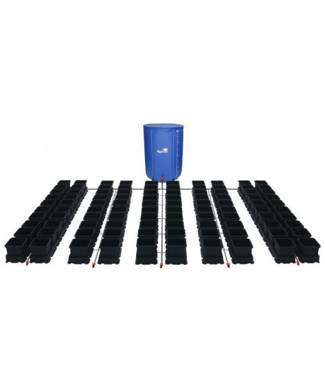 Autotopf-Set 1Topf 70x 8,5L Topf + 750L Flexi Tank - 1