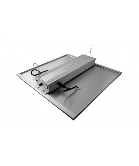Caluma LED Force 240W 2.5μmol - 1