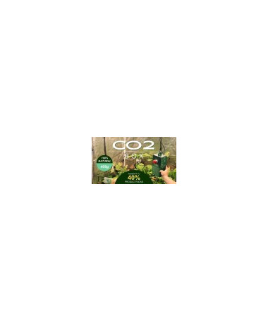 GENERATOR CO2 do growboxa, 1200-1500 ppm, 120x120cm / 3 tyg. do uprawy roślin - 3 - 