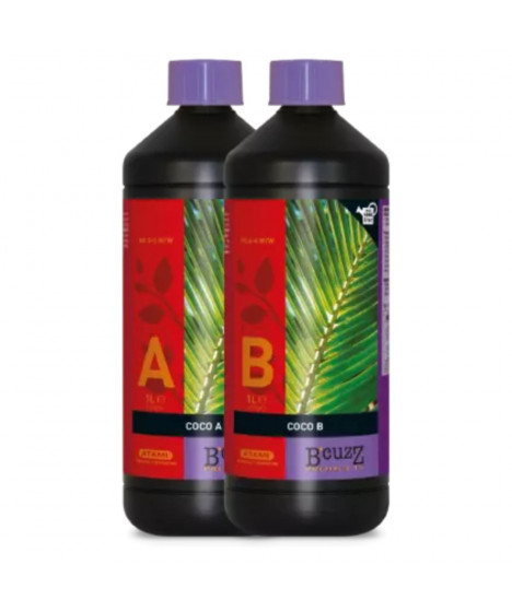 Atami BCUZZ COCO AB 2*1L - 1