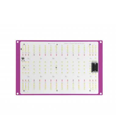 GOAT LED 120W UV+ Wide - 4