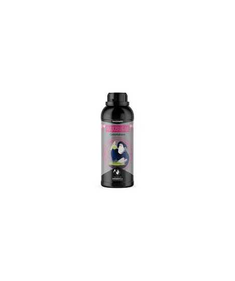 Cannaboom Maxisugar 1L - Kohlenhydrate für Pflanzen, verbessert den Geschmack und das Aroma - 1