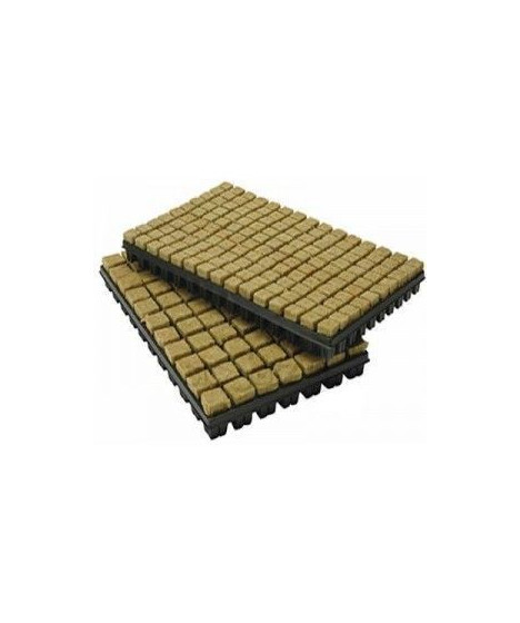 GRODAN Wool Tray 77 WELL, 35*35*40MM - 1