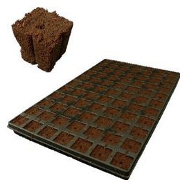 Eazy Plug Seed Sowing Tray 77 pcs.