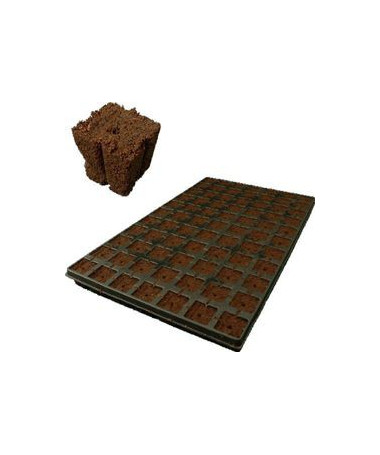 Eazy Plug Seed Sowing Tray 77 pcs.