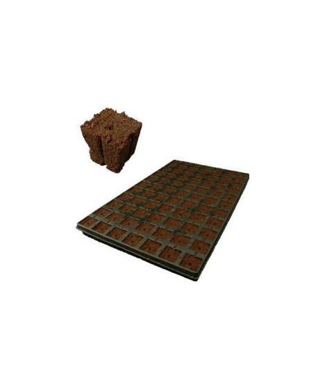 Eazy Plug Seed Sowing Tray 77 pcs.