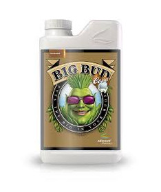 Big Bud Coco 250ml Akcelerator kwitnienia Advanced Nutrients