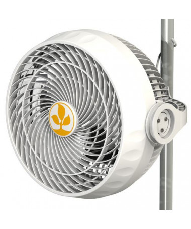 Secret Jardin MONKEY FAN 30W