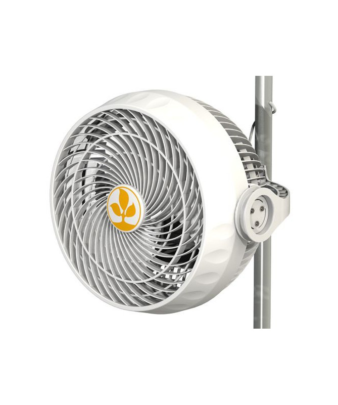 Secret Jardin MONKEY FAN 30W