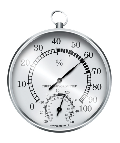 Silver analog thermometer/hygrometer 092209