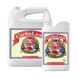 Carboload 500ml Erweiterte Nährstoffe Carboload 500ml