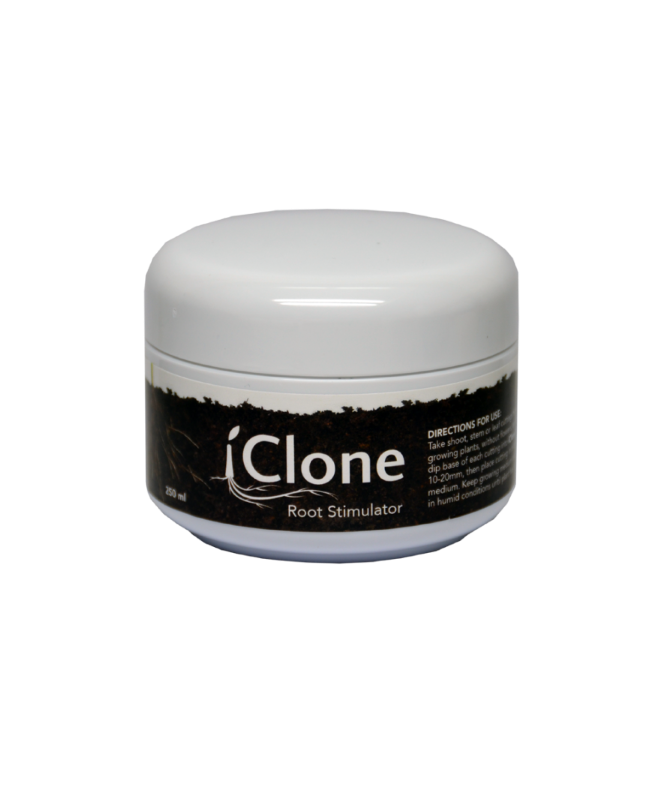 iClone rooting gel 15ml