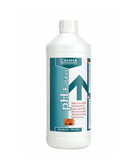 CANNA PH PLUS 5% 1L - 1 - CANNA 5 pH PLUS subtelnie podnosi wartość pH w roztworze odżywczym, zapewniając idealne warunki dla T