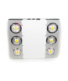 Spectrolight LED Explosionslampe 800W Objektivwinkel 120°