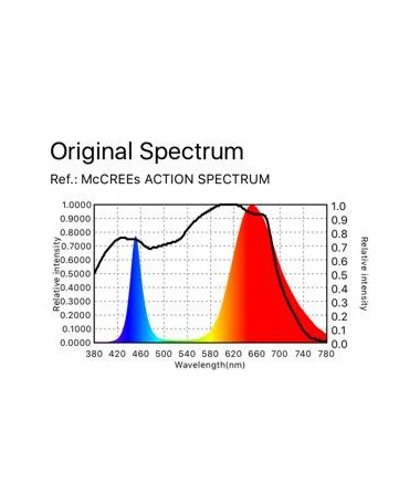 Spectrolight LED Starter Lamp 100W Lens Angle 120°