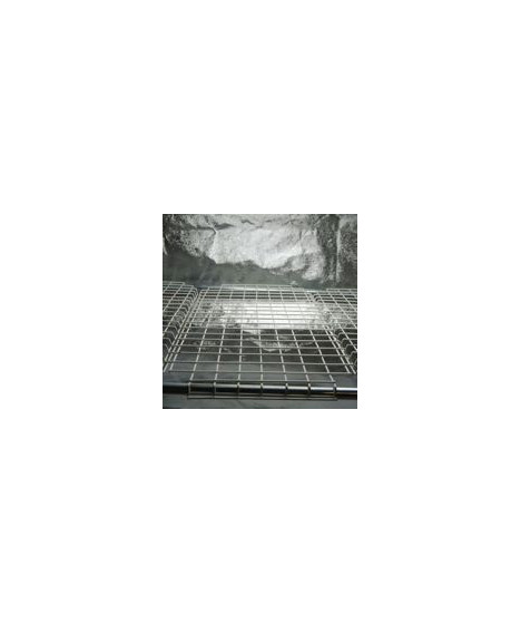 Półka Secret Jardin Dark Propagator, Lodge DP120GS (60x40) - 1 - Zapewnij swoim modelom stylowe miejsce z naszymi półkami do mod