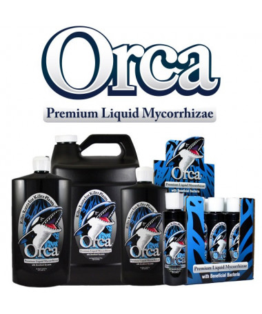 PLANT SUCCESS MIKORYZA W PŁYNIE ORCA 100ML - 3 - **Mikoryza Orca Liquid Mycorrhizae** to skoncentrowane źródło mikoryzy w płynie