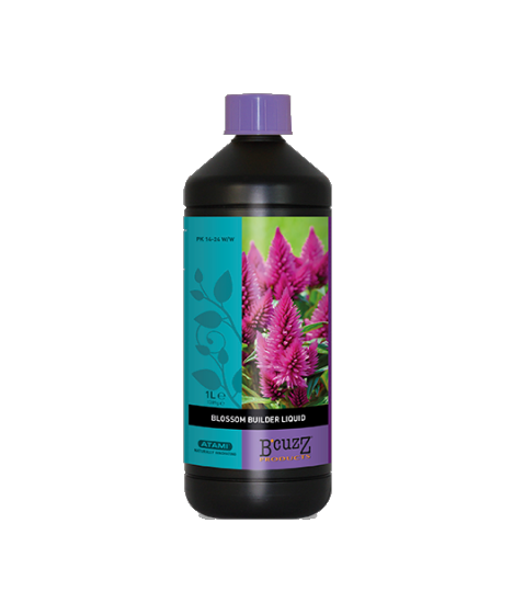 BLOSSOM BUILDER ATAMI B`CUZZ 1L ENDDÜNGER ZUR STEIGERUNG DER MASSE - 1
