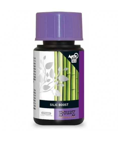 ATAMI SILIC BOOST 100ML - 1