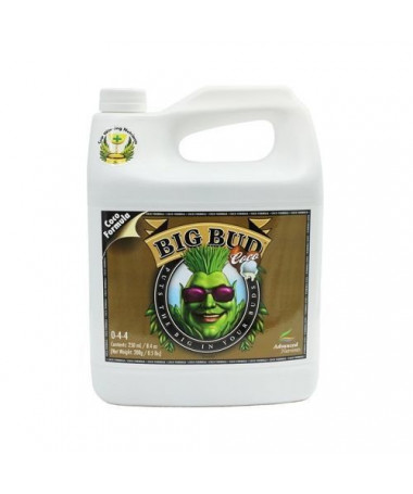 Big Bud Coco 10l Akcelerator kwitnienia