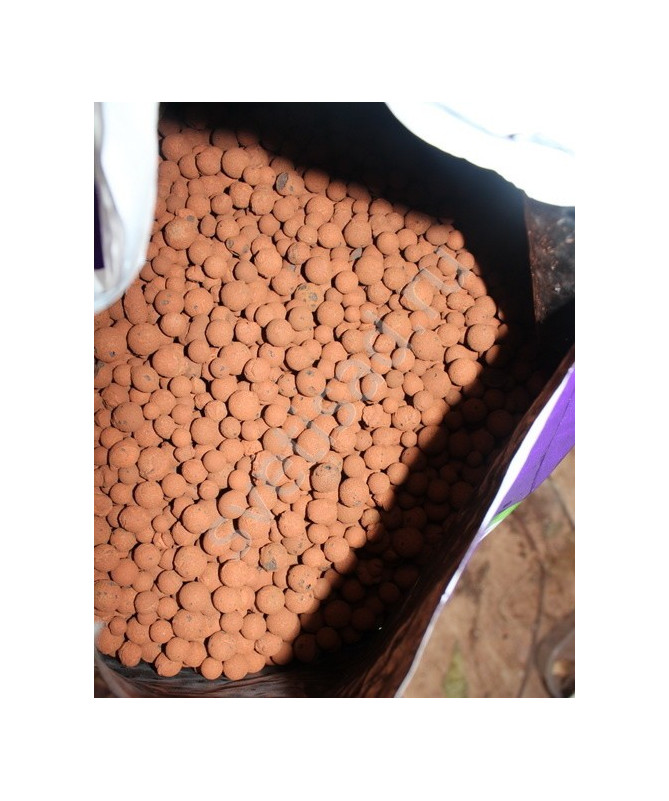 PLAGRON KERAMIK PELLETS 8/16 1L EURO PEBBLES