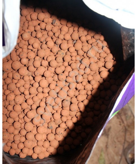 PLAGRON GRANULAT CERAMICZNY 8/16 1L EURO PEBBLES - 1 - Euro Pebbles jest obojętnym hydroponicznym podłożem wysokiej jakości. Jak