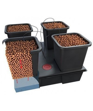 Wilma Large 11l, Hydroponisches Komplettsystem, 4 x 11l Topf, 75x75x20cm / 50l - 2