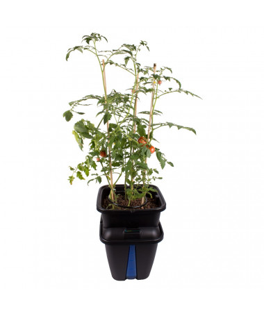 PLANT!T GEMINI SYSTEM HYDROPONICZNY 1 ROŚLINA - 2 - Uprawa roślin w systemie Gemini od Plantt nowoczesne rozwiązanie dla Twojeg