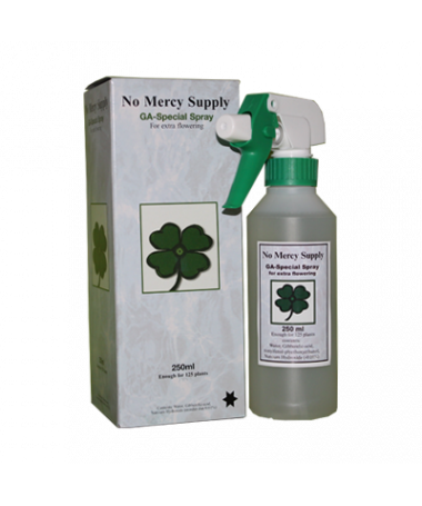 No Mercy Gibberelic Acid Spray 250ml kwas giberalinowy