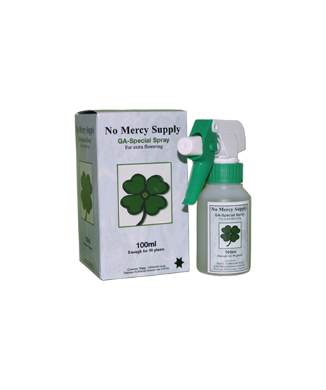 No Mercy Gibberelic Acid Spray 100ml kwas giberalinowy - 1 - Hormon roślinny wykazuje aktywność biologiczną, która jest niezwykl