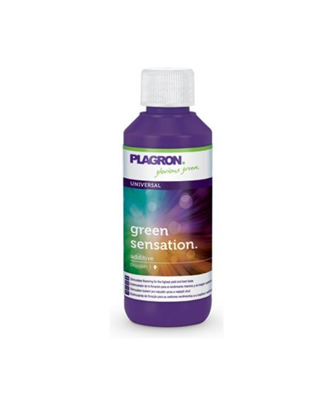 PLAGRON GRÜN SENSATION 100ML