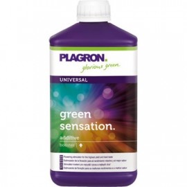 PLAGRON GREEN SENSATION 1L