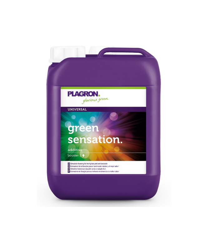 PLAGRON ZELENÁ SENZACE 5L