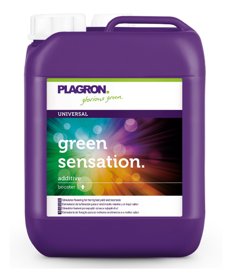 PLAGRON GREEN SENSATION 5L - 1 - Plagron Green Sensation to złożony kompleks stymulator kwitnienia, składających się z organiczn