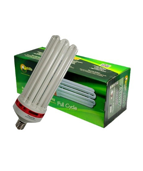 CFL LAMPE PHYTOLITE 200W DUAL BEIDE PHASEN - 1