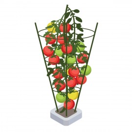 PLANT SUPPORT 120CM