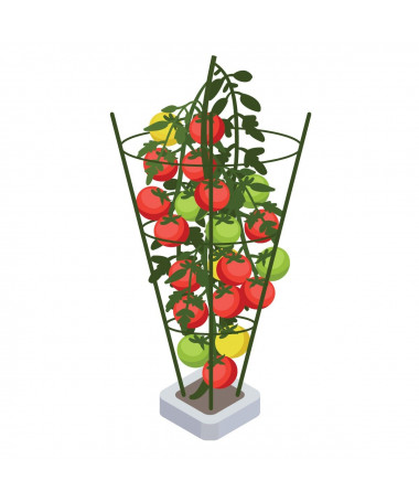 PLANT SUPPORT 45CM - 2 - Spraw, aby Twoje rośliny rosły prosto i zdrowo z pomocą prętów podtrzymujących, które są łatwe do zains