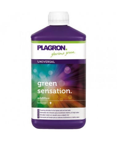 PLAGRON GREEN SENSATION 100ML - 2 - Plagron Green Sensation to złożony kompleks stymulator kwitnienia, składających się z organi