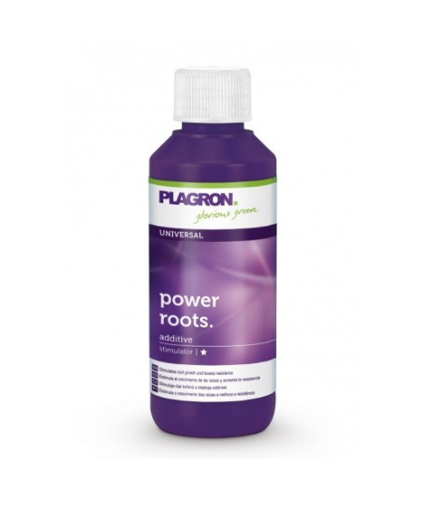PLAGRON KRAFTWURZELN 100ML - 1