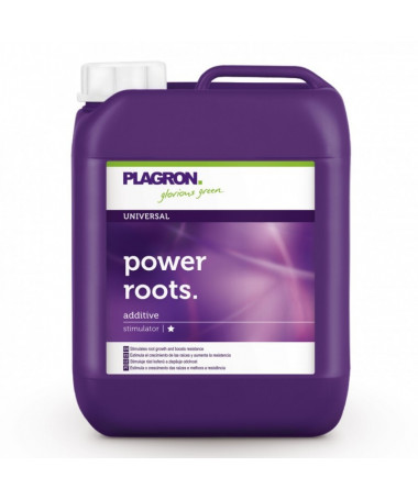 PLAGRON POWER ROOTS 100ML - 3