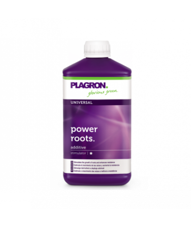PLAGRON POWER ROOTS 100ML - 2