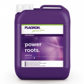 PLAGRON POWER ROOTS 250ML