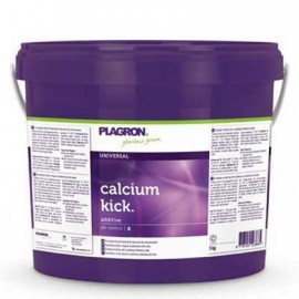 Calcium Kick Regulator pH 5kg