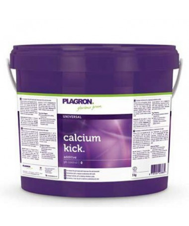 Calcium Kick Regulator pH 5kg