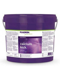 Calcium Kick Regulator pH 5kg