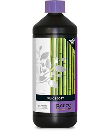 ATAMI SILIC BOOST 250ML - 1 - 