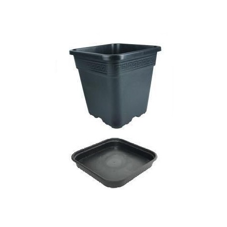 6L square plastic pot + saucer